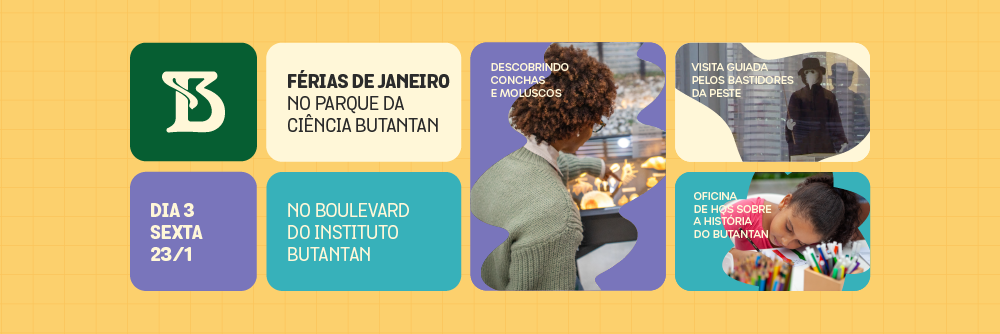 Arte com pequenos quadrados que mostram os destaques do terceiro dia da programação de férias do Parque da Ciência